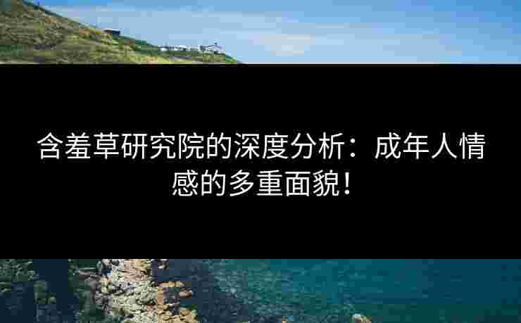 含羞草研究院的深度分析：成年人情感的多重面貌！